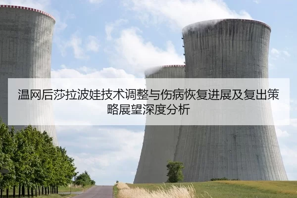 温网后莎拉波娃技术调整与伤病恢复进展及复出策略展望深度分析