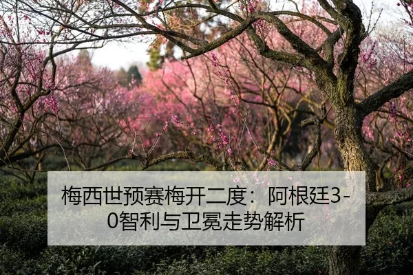 梅西世预赛梅开二度：阿根廷3-0智利与卫冕走势解析